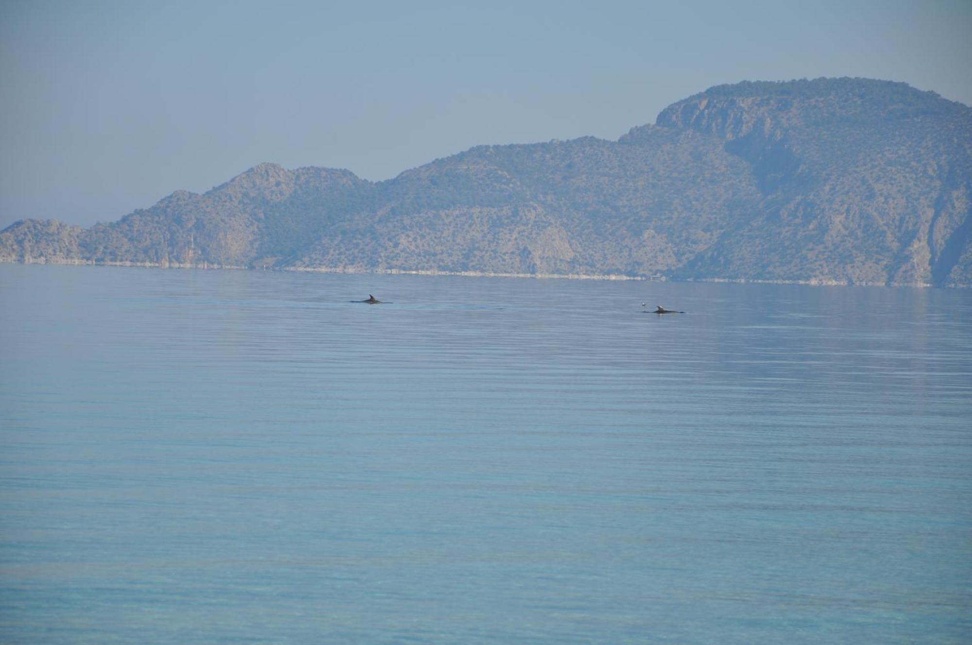 Villa In Kalloni Direkt Am Meer, Tolle Aussicht Luaran gambar
