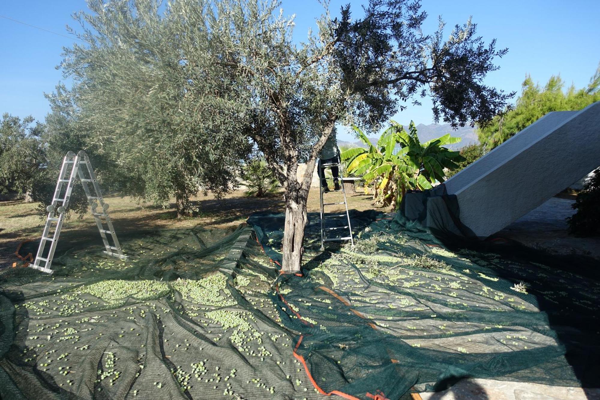 Villa In Kalloni Direkt Am Meer, Tolle Aussicht Luaran gambar